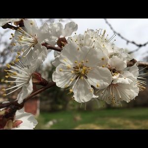 Meet your Posher, Ruthie